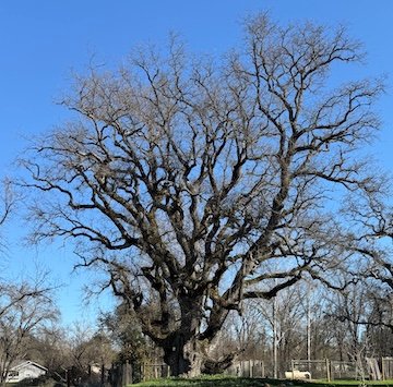 Post 17 Jan 26, 2026