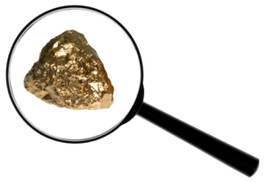 Appellate Advisor Gold Magnifying Glass